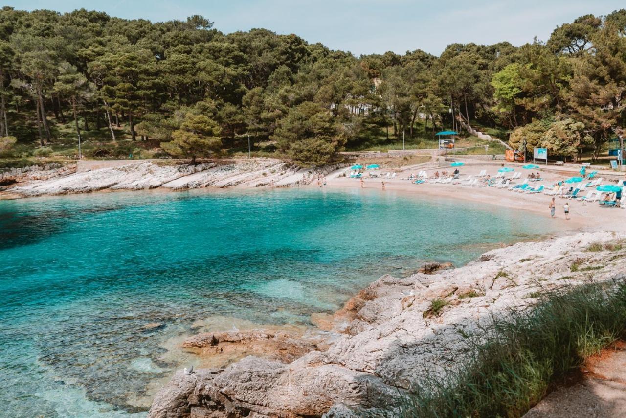 Studio Apartment Pinetree - Mali Lošinj Extérieur photo